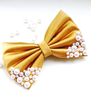 Fancy Hair Bow Clip